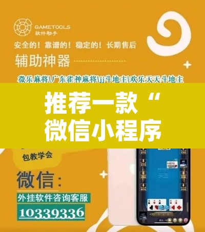 推荐一款“微信小程序家乡大贰辅助器”其实确实有挂