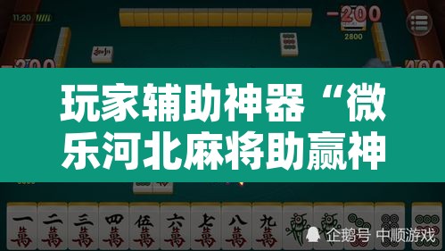 玩家辅助神器“微乐河北麻将助赢神器购买”附辅助神器开挂脚本详细步骤