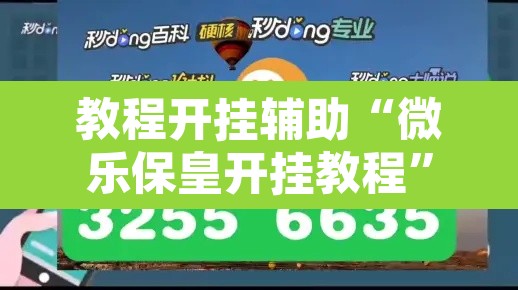 教程开挂辅助“微乐保皇开挂教程”其实确实有挂