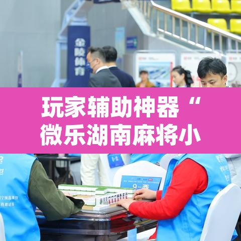 玩家辅助神器“微乐湖南麻将小程序必赢神器免费	”(透视挂)辅助透视教程