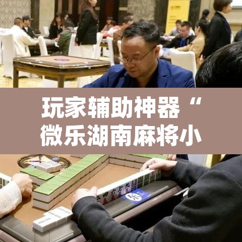 玩家辅助神器“微乐湖南麻将小程序必赢神器免费”(透视挂)辅助透视教程