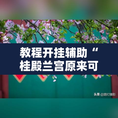 教程开挂辅助“桂殿兰宫原来可以开挂”附辅助神器开挂脚本详细步骤