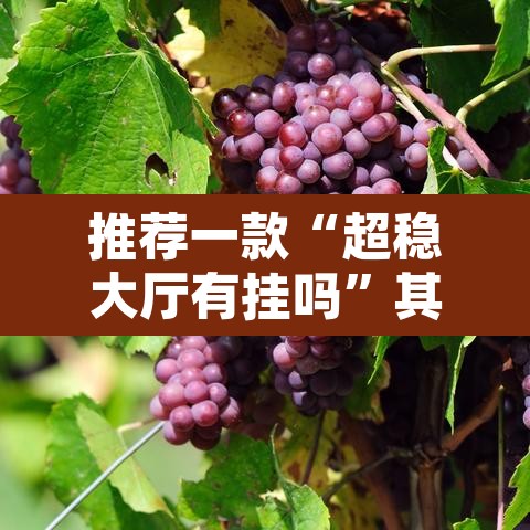 推荐一款“超稳大厅有挂吗”其实确实有挂