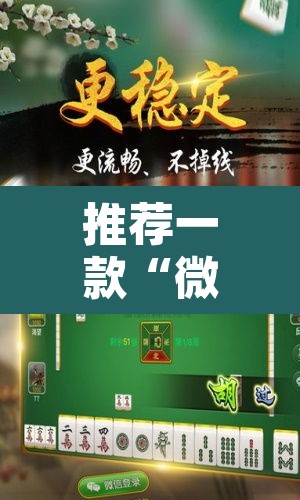 推荐一款“微乐河北麻将万能开挂器免费通用版”开挂辅助脚本+详细开挂安装教程