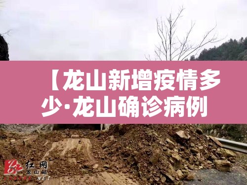 【龙山新增疫情多少·龙山确诊病例】
