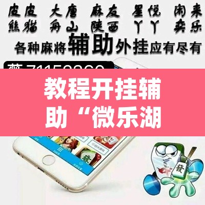 教程开挂辅助“微乐湖北麻将怎么提高胜率	”(透视挂)辅助透视教程