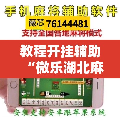 教程开挂辅助“微乐湖北麻将怎么提高胜率”(透视挂)辅助透视教程