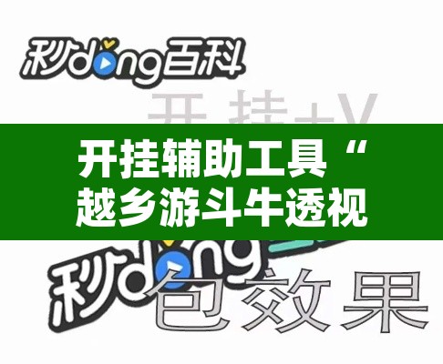 开挂辅助工具“越乡游斗牛透视”开挂辅助脚本+详细开挂安装教程