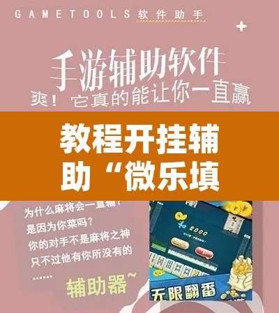 教程开挂辅助“微乐填大坑可以开挂吗”其实确实有挂