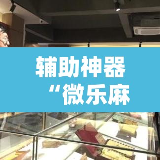 辅助神器“微乐麻将挂先试用后付款	”(透视挂)辅助透视教程
