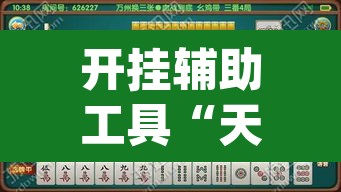 开挂辅助工具“天天黄石麻将可以开挂吗	”(透视)其实确实有挂