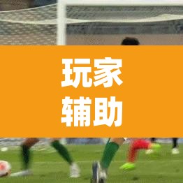 玩家辅助神器“海港玩摆头注如何开挂”(透视挂)辅助透视教程