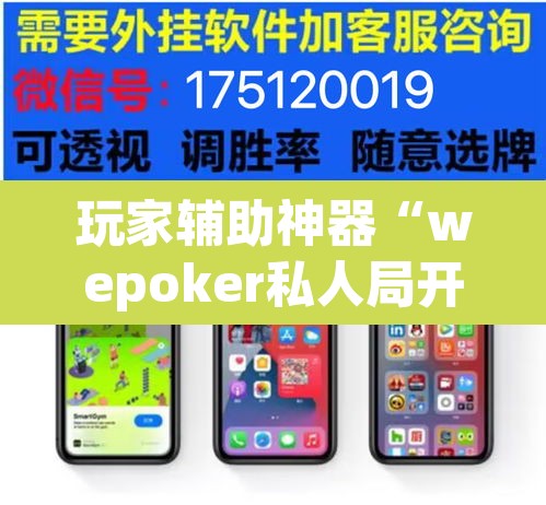 玩家辅助神器“wepoker私人局开挂透视	”(透视)其实确实有挂
