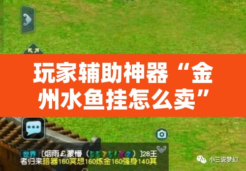 玩家辅助神器“金州水鱼挂怎么卖”其实确实有挂