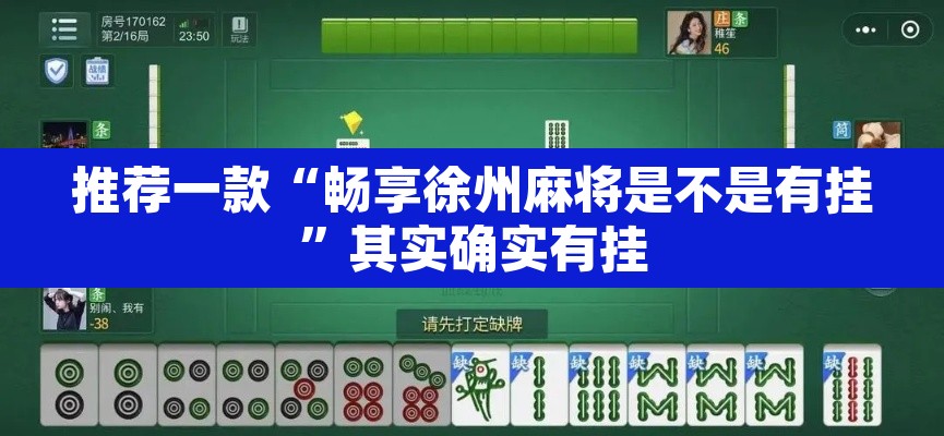 推荐一款“畅享徐州麻将是不是有挂”其实确实有挂