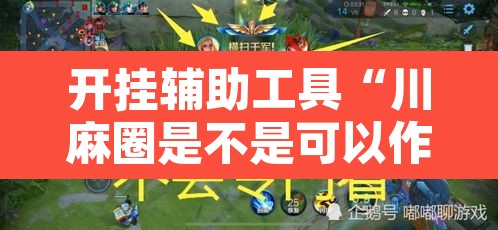 开挂辅助工具“川麻圈是不是可以作弊”其实确实有挂