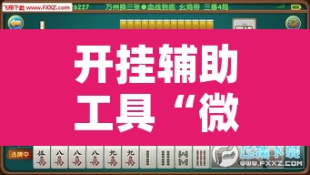 开挂辅助工具“微乐海南麻将开挂神器”其实确实有挂