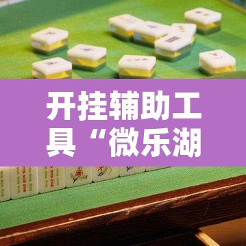 开挂辅助工具“微乐湖南麻将万能开挂器免费”开挂辅助脚本+详细开挂安装教程