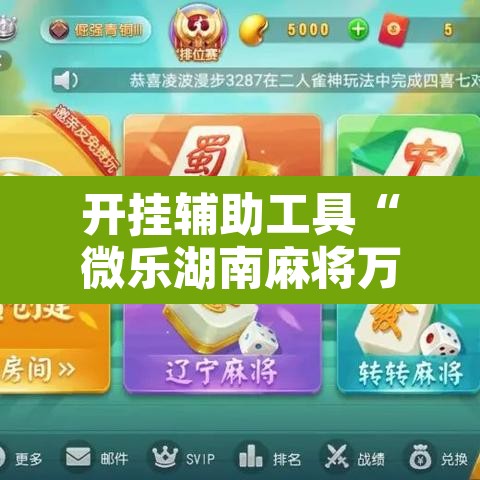 开挂辅助工具“微乐湖南麻将万能开挂器免费”开挂辅助脚本+详细开挂安装教程