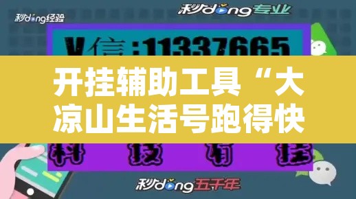 开挂辅助工具“大凉山生活号跑得快怎么开挂”其实确实有挂