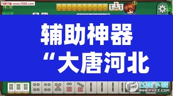 辅助神器“大唐河北麻将有挂吗”(透视)其实确实有挂