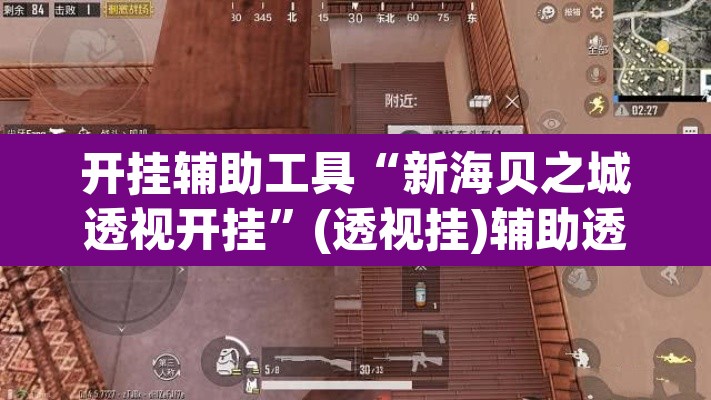 开挂辅助工具“新海贝之城透视开挂”(透视挂)辅助透视教程