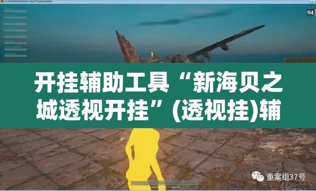 开挂辅助工具“新海贝之城透视开挂”(透视挂)辅助透视教程