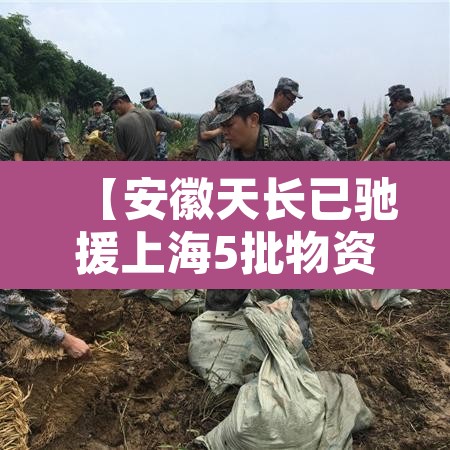 【安徽天长已驰援上海5批物资·安徽天长网】 【安徽天长已驰援上海5批物资·安徽天长网】