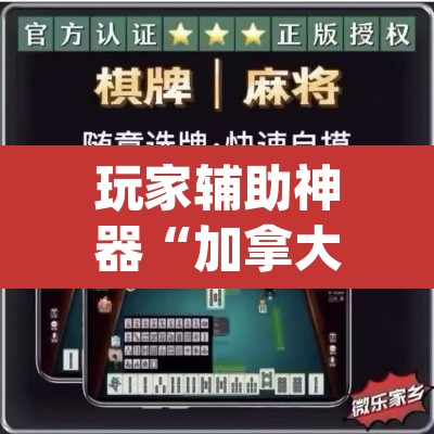 玩家辅助神器“加拿大28作弊辅助挂”(透视挂)辅助透视教程