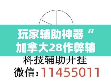 玩家辅助神器“加拿大28作弊辅助挂”(透视挂)辅助透视教程