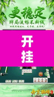 辅助神器“微乐江苏麻将万能开挂器通用版”(透视)其实确实有挂