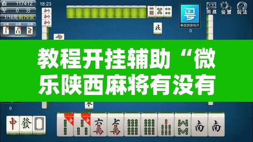 教程开挂辅助“微乐陕西麻将有没有挂”开挂辅助脚本+详细开挂安装教程