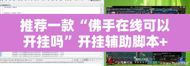 推荐一款“佛手在线可以开挂吗”开挂辅助脚本+详细开挂安装教程