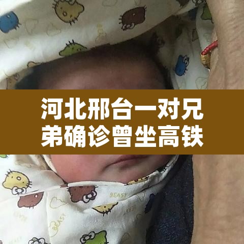 河北邢台一对兄弟确诊曾坐高铁 → 河北邢台发现一例 河北邢台一对兄弟确诊曾坐高铁 → 河北邢台发现一例