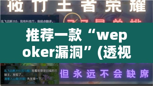 推荐一款“wepoker漏洞”(透视)其实确实有挂