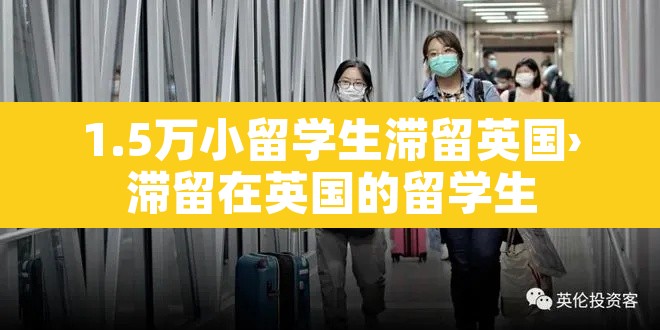 1.5万小留学生滞留英国›滞留在英国的留学生
