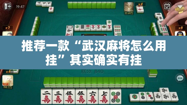 推荐一款“武汉麻将怎么用挂	”其实确实有挂
