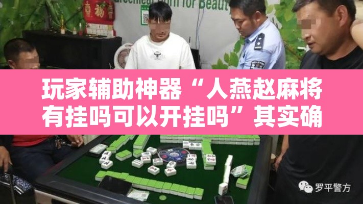 玩家辅助神器“人燕赵麻将有挂吗可以开挂吗”其实确实有挂