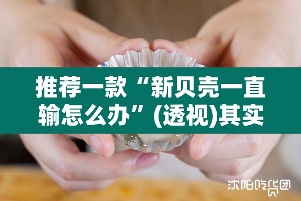 推荐一款“新贝壳一直输怎么办”(透视)其实确实有挂