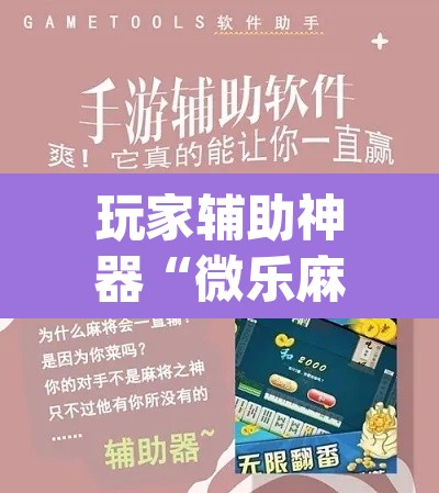 玩家辅助神器“微乐麻将开挂app下载安装”附辅助神器开挂脚本详细步骤