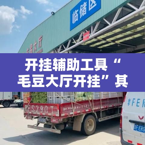 开挂辅助工具“毛豆大厅开挂	”其实确实有挂