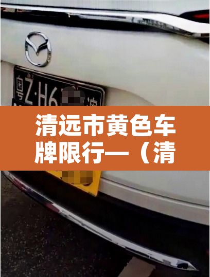 清远市黄色车牌限行—(清远限行路段) 清远市黄色车牌限行—(清远限行路段)