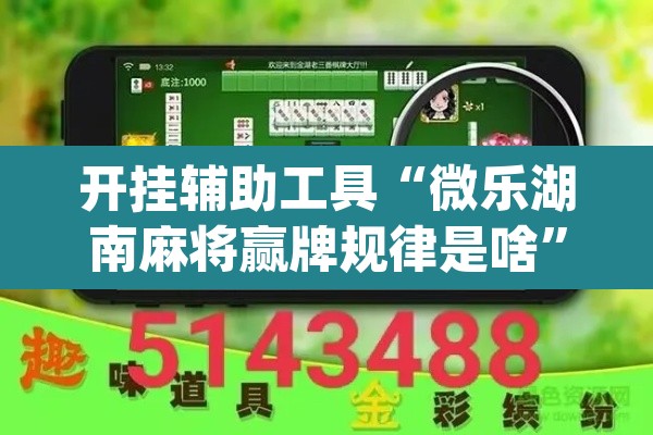 开挂辅助工具“微乐湖南麻将赢牌规律是啥	”(透视)其实确实有挂