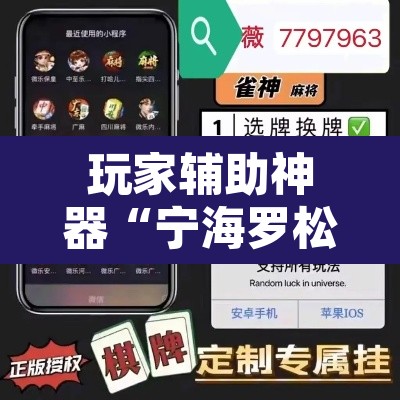 玩家辅助神器“宁海罗松如何开挂”开挂辅助脚本+详细开挂安装教程
