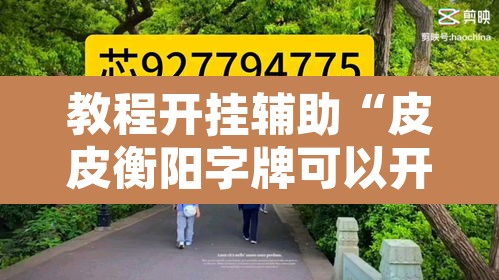 教程开挂辅助“皮皮衡阳字牌可以开挂”其实确实有挂