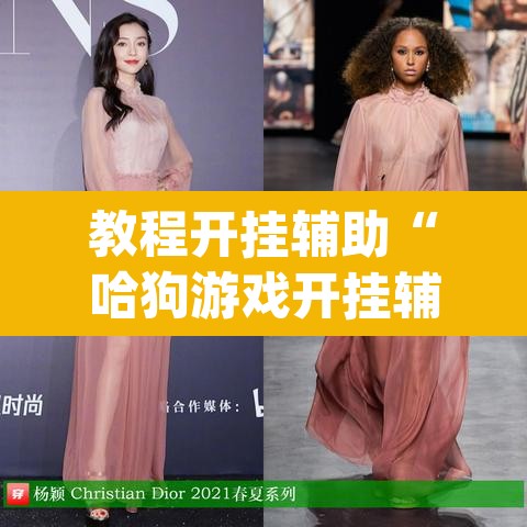 教程开挂辅助“哈狗游戏开挂辅助软件”(透视)其实确实有挂