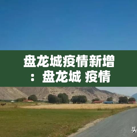 盘龙城疫情新增：盘龙城 疫情