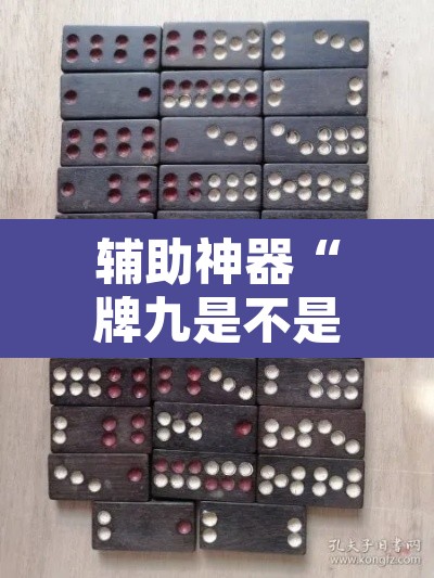 辅助神器“牌九是不是有挂”其实确实有挂