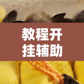 教程开挂辅助“手机麻将软件只赢不输”其实确实有挂