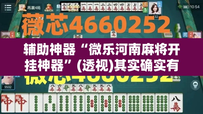 辅助神器“微乐河南麻将开挂神器”(透视)其实确实有挂